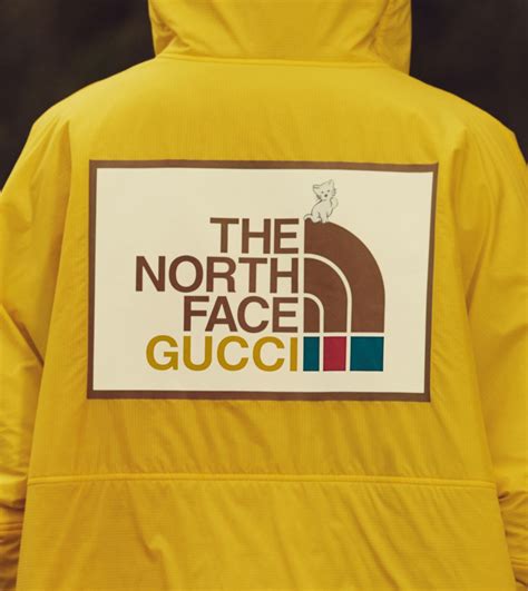 gucci north face icon.